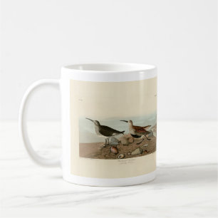 Caneca De Café Sandpiper de apoio vermelho - Aves da América de A