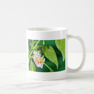 Caneca De Café sapo de árvore eyed vermelho