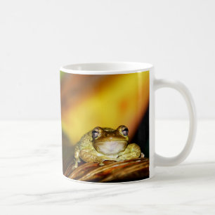 Caneca De Café Sapo de Buddha