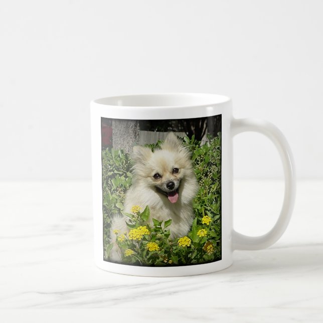 Caneca De Café Sassy - a felicidade é o amor de um Pomera adotado (Direita)