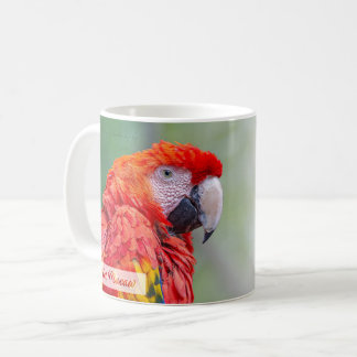Caneca De Café Scarlet Macaw Psalm 91:4 KJV