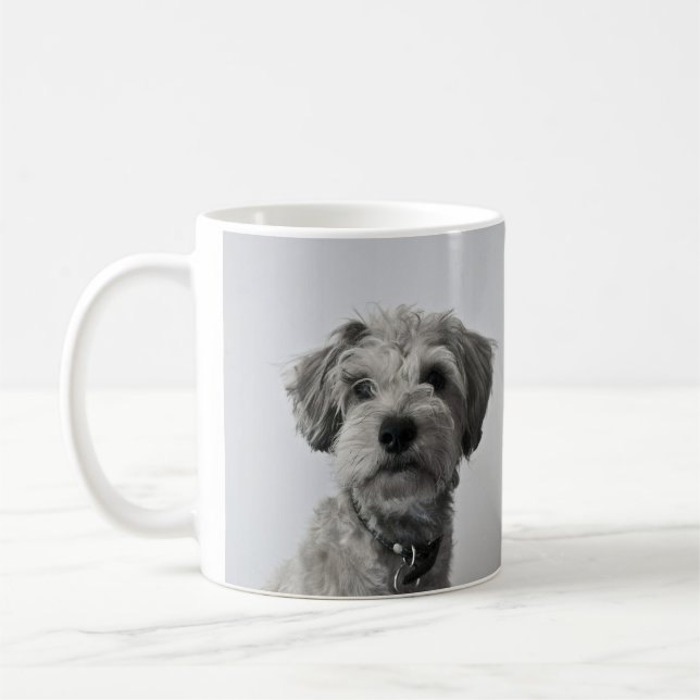 Caneca De Café Schnauzer Puppy Portrait Photo (Esquerda)