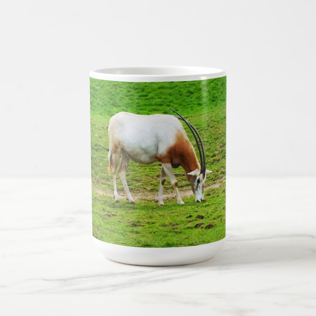 Caneca De Café Scimitar oryx (Centro)