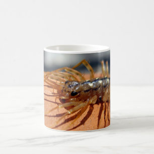 Caneca De Café Scutigera coleoptrata Inseto Mug