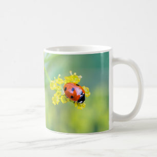 Caneca De Café senhora no topo