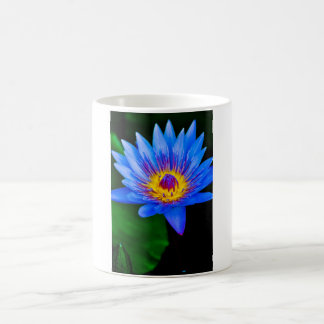 Caneca De Café Serenidade