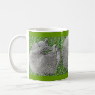 Caneca De Café Sesta cinzenta do gato