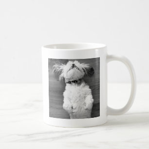 Caneca De Café Sesta de Shih Tzu