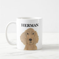 Setter Irlandês Personalizado