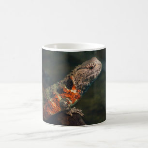 Caneca De Café Shinisaurus crocodilurus