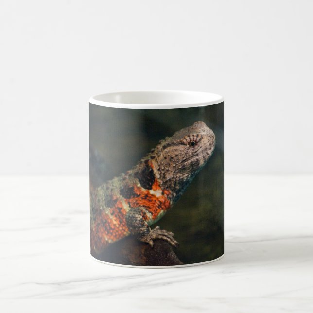 Caneca De Café Shinisaurus crocodilurus (Centro)