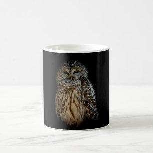 Caneca De Café Sleepy Owl Mug