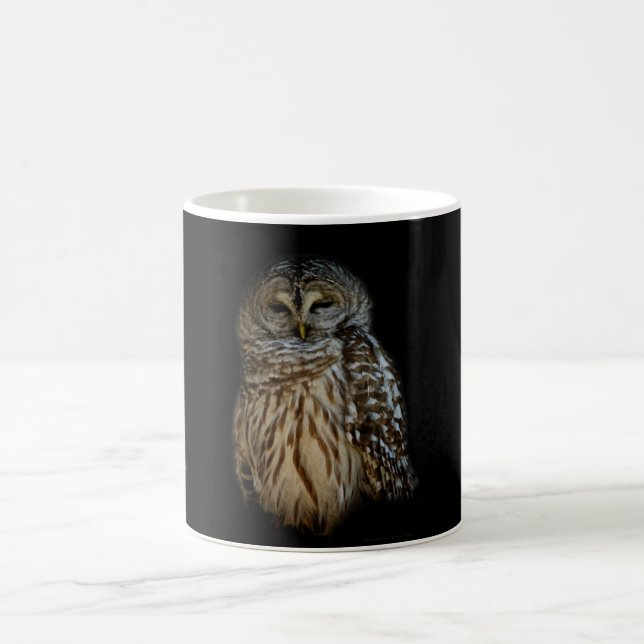 Caneca De Café Sleepy Owl Mug (Centro)
