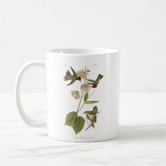 Caneca De Café Small Anna Hummingbird