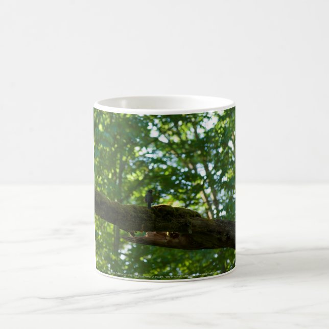 Caneca De Café Sobreposição de Floresta (Centro)