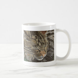 Caneca De Café Sonhador bonito (gato malhado do sono)