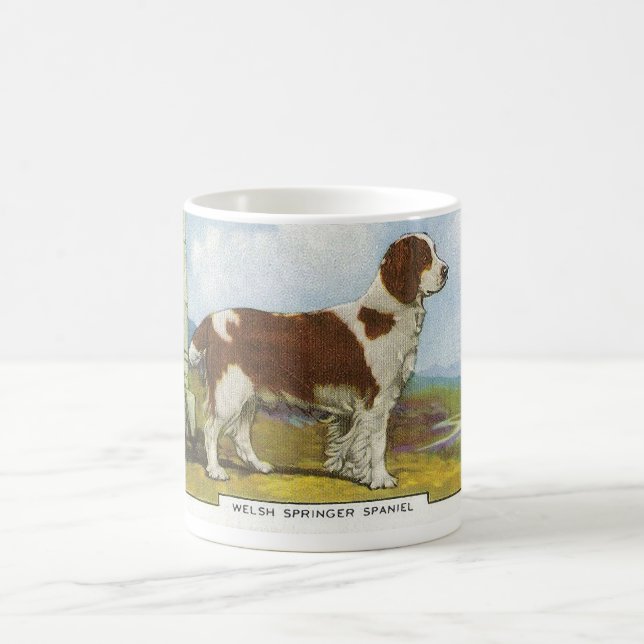 Caneca De Café Spaniel de galês Springer (Centro)