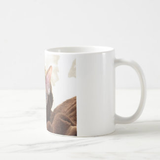 Caneca De Café Sphynx
