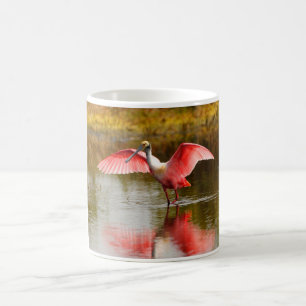 Caneca De Café Spoonbill