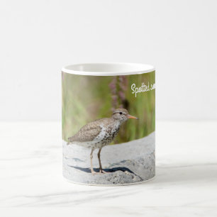 Caneca De Café Spotted Sandpiper