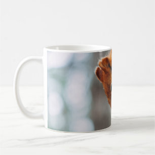 CANECA DE CAFÉ SQUIRREL NO TRONCO DE ÁRVORE