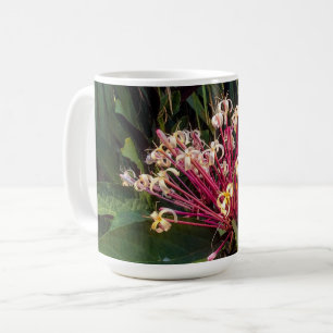 Caneca De Café Starburst Clerodendrum Flowers Mug