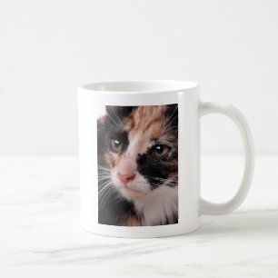 Caneca De Café Stray Kitten