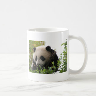 Caneca De Café SU Lin, filhote de urso da panda gigante no jardim