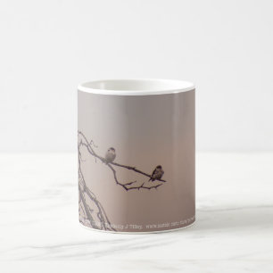 Caneca De Café Sunset com os Shrikes