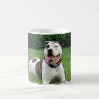 Caneca De Café T-Osso do pitbull