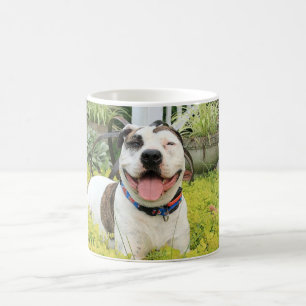 Caneca De Café T-Osso do pitbull