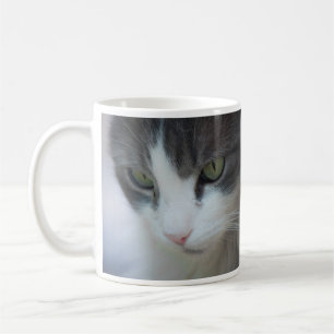 Caneca De Café Tabby-and-White Cat Staring