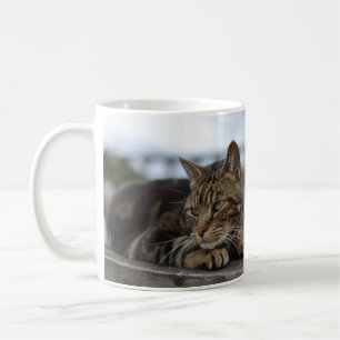 Caneca De Café Tabby cat pronto para ação
