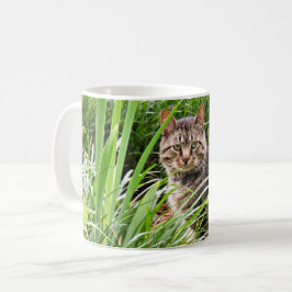 Caneca De Café Tabby Cat Sentado em Grass Photo