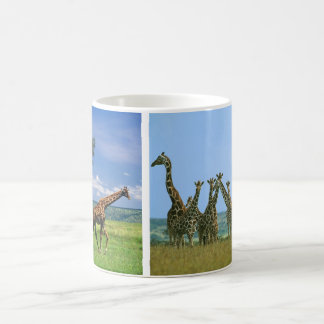 Caneca De Café Taça girafas rebanhos