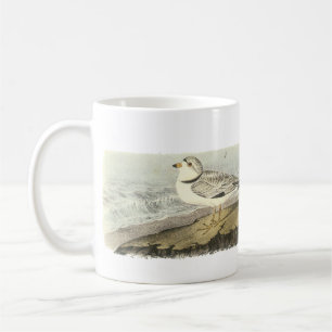 Caneca De Café Tarambola tranqüila, John Audubon