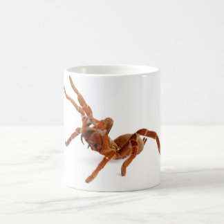 Caneca De Café Tarantula. do rei Babuíno