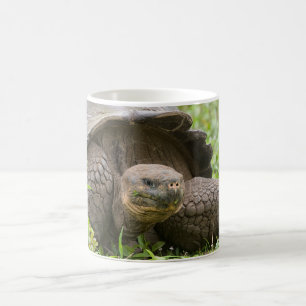 Caneca De Café Tartaruga gigante