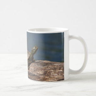 Caneca De Café Tartaruga pintada em um registro