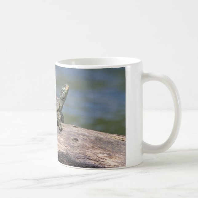 Caneca De Café Tartaruga pintada num dia ensolarado (Direita)