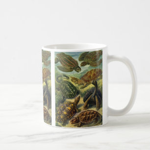 Caneca De Café Tartarugas do Mar Vintage Terem Tortoise por Ernst