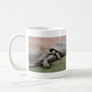 Caneca De Café tartarugas gigantes