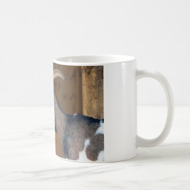 Caneca De Café Tauernschecken-Ziege (Direita)