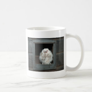 Caneca De Café Tawny Owl