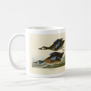 Caneca De Café Teal de asa azul das Aves da América de Audubon