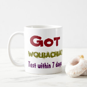 Caneca De Café Tem Wolbachia? Centenas de pessoas cuidam de RoseW
