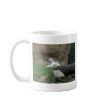 Tigre branco Basking