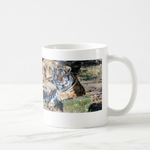 Caneca De Café Tigre-de-bengala em Rocha Florestal Musgosa