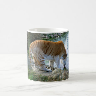 Caneca De Café Tigre indiano animal