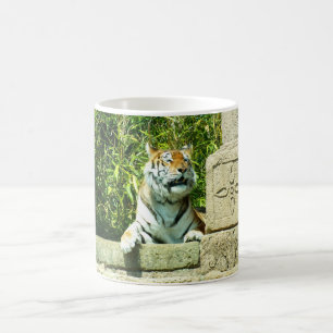 Caneca De Café Tigre no templo